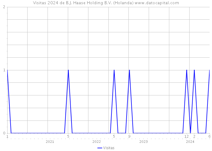 Visitas 2024 de B.J. Haase Holding B.V. (Holanda) 