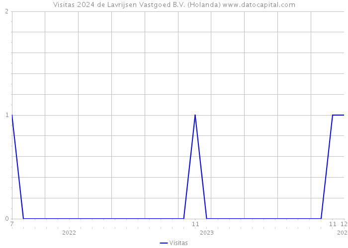 Visitas 2024 de Lavrijsen Vastgoed B.V. (Holanda) 