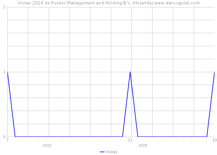 Visitas 2024 de Positor Management and Holding B.V. (Holanda) 