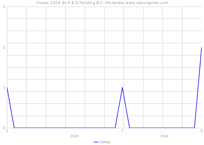 Visitas 2024 de P & D Holding B.V. (Holanda) 