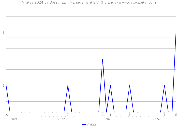 Visitas 2024 de Bosschaart Management B.V. (Holanda) 