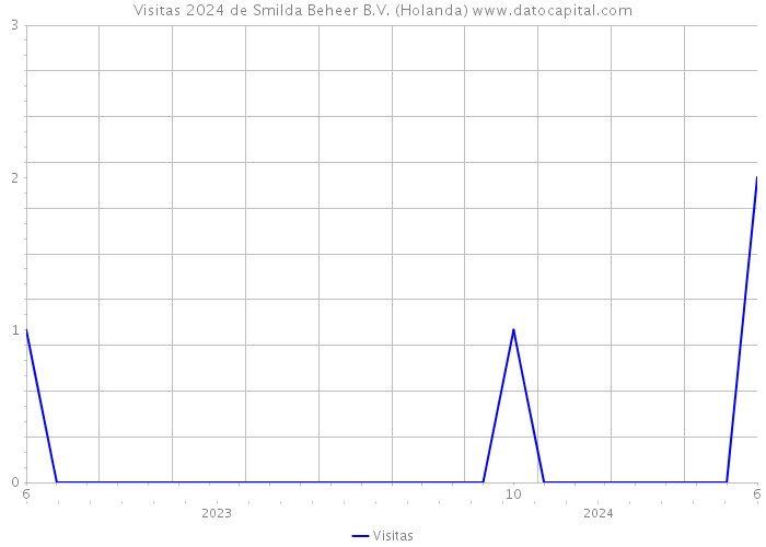 Visitas 2024 de Smilda Beheer B.V. (Holanda) 