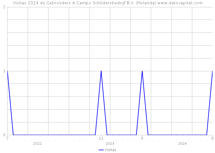 Visitas 2024 de Gebroeders A Campo Schildersbedrijf B.V. (Holanda) 