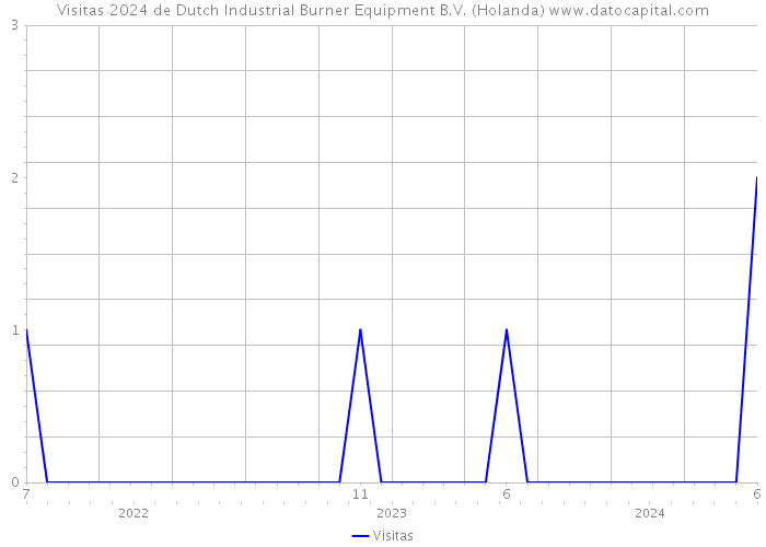 Visitas 2024 de Dutch Industrial Burner Equipment B.V. (Holanda) 