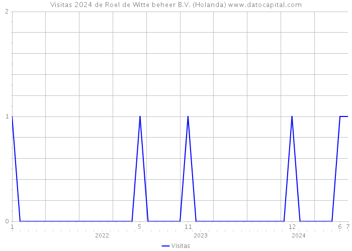 Visitas 2024 de Roel de Witte beheer B.V. (Holanda) 