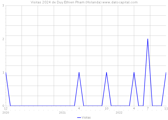 Visitas 2024 de Duy Ethien Pham (Holanda) 