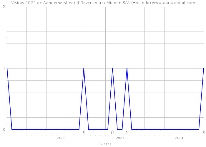 Visitas 2024 de Aannemersbedrijf Ravenshorst Midden B.V. (Holanda) 