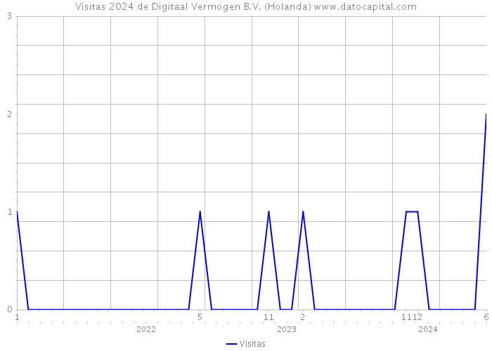 Visitas 2024 de Digitaal Vermogen B.V. (Holanda) 