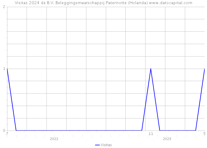 Visitas 2024 de B.V. Beleggingsmaatschappij Paternotte (Holanda) 