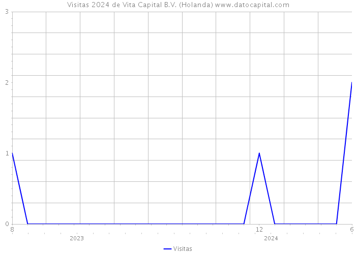Visitas 2024 de Vita Capital B.V. (Holanda) 