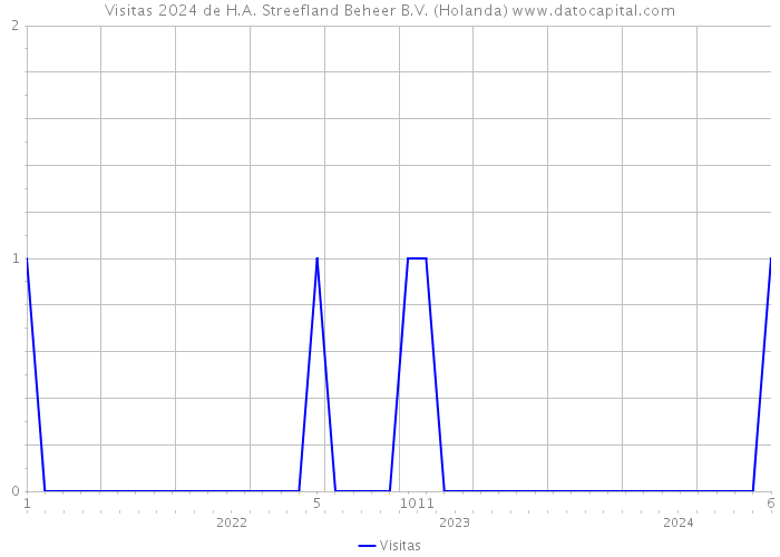 Visitas 2024 de H.A. Streefland Beheer B.V. (Holanda) 