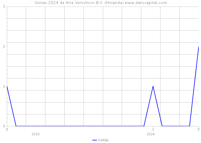 Visitas 2024 de Arie Verschoor B.V. (Holanda) 