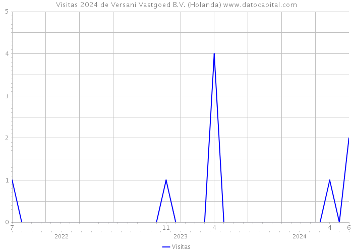 Visitas 2024 de Versani Vastgoed B.V. (Holanda) 