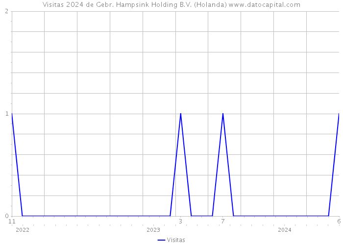 Visitas 2024 de Gebr. Hampsink Holding B.V. (Holanda) 