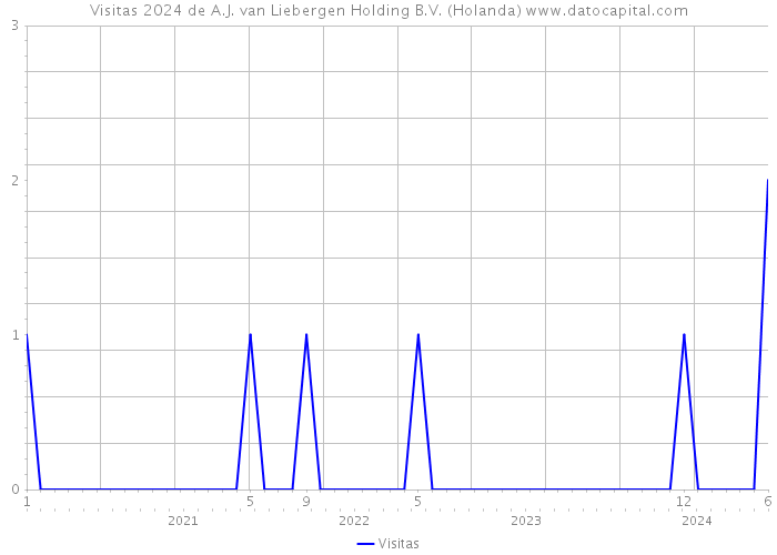 Visitas 2024 de A.J. van Liebergen Holding B.V. (Holanda) 