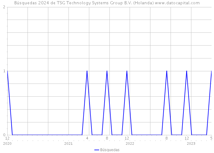 Búsquedas 2024 de TSG Technology Systems Group B.V. (Holanda) 