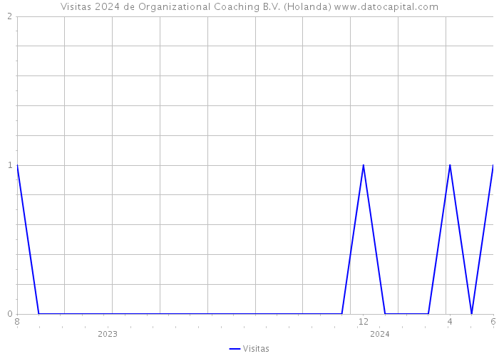 Visitas 2024 de Organizational Coaching B.V. (Holanda) 