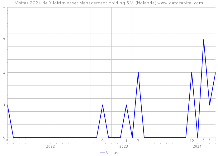 Visitas 2024 de Yildirim Asset Management Holding B.V. (Holanda) 
