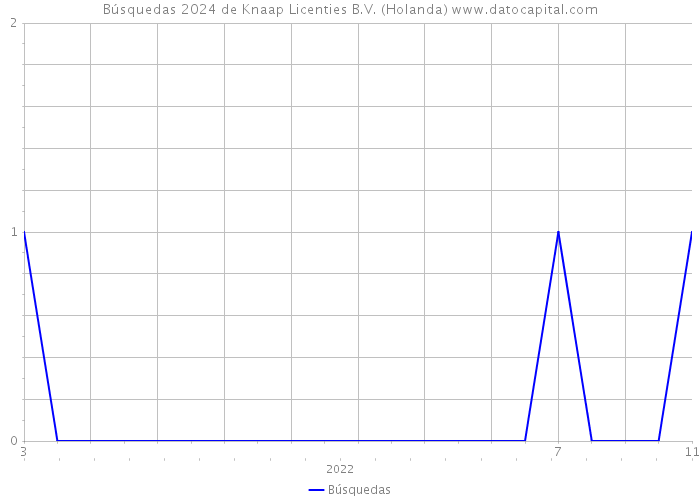 Búsquedas 2024 de Knaap Licenties B.V. (Holanda) 