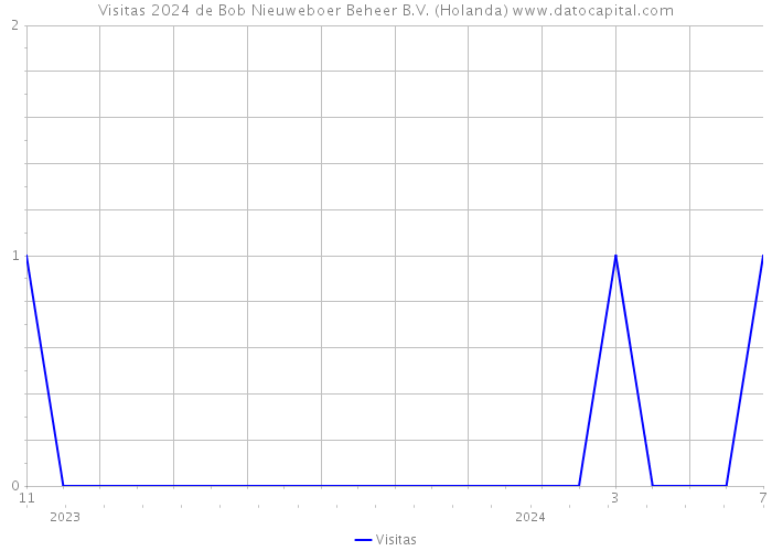 Visitas 2024 de Bob Nieuweboer Beheer B.V. (Holanda) 