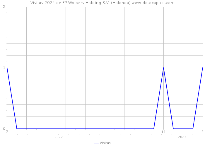 Visitas 2024 de FP Wolbers Holding B.V. (Holanda) 