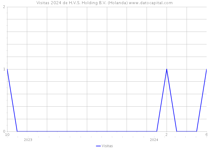 Visitas 2024 de H.V.S. Holding B.V. (Holanda) 