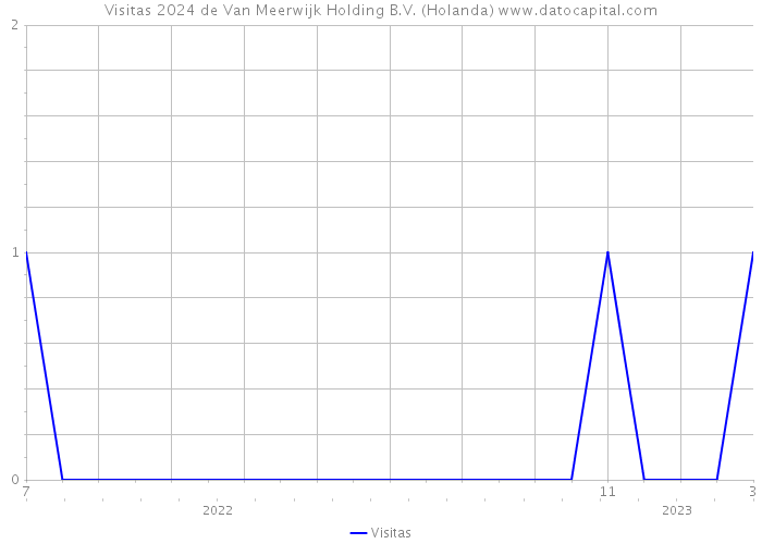 Visitas 2024 de Van Meerwijk Holding B.V. (Holanda) 