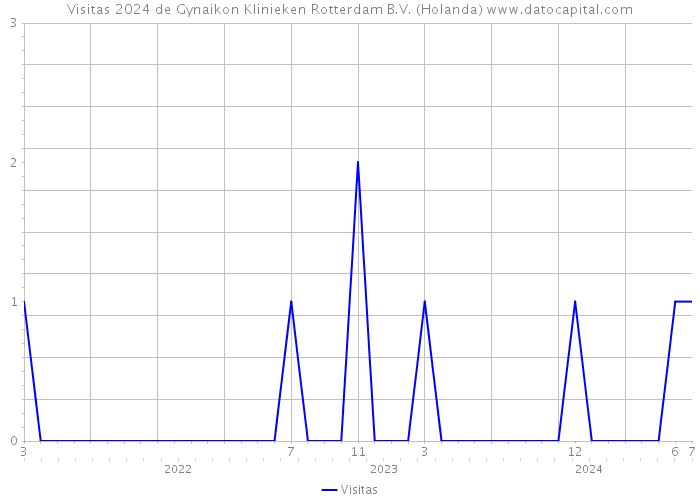 Visitas 2024 de Gynaikon Klinieken Rotterdam B.V. (Holanda) 