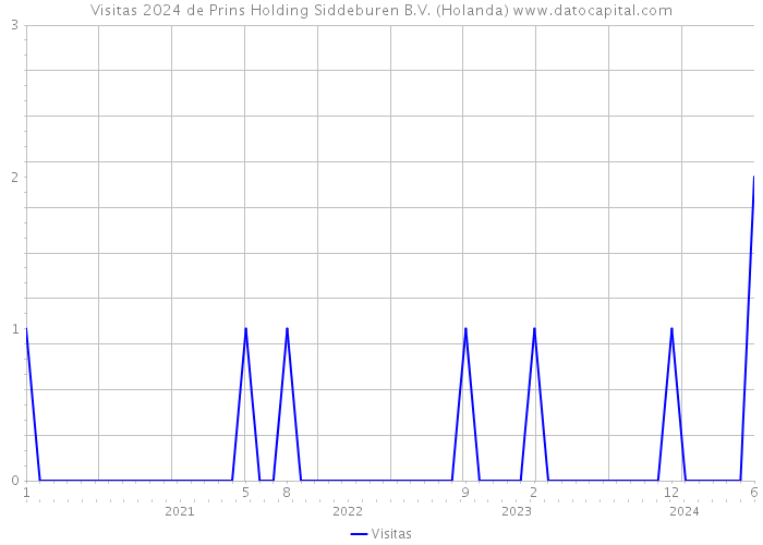 Visitas 2024 de Prins Holding Siddeburen B.V. (Holanda) 