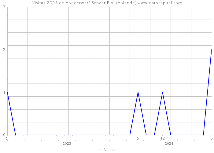 Visitas 2024 de Hoogerwerf Beheer B.V. (Holanda) 