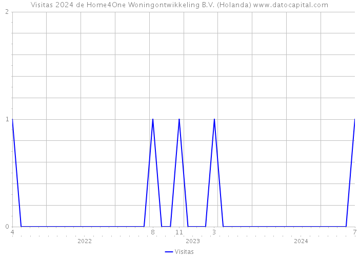 Visitas 2024 de Home4One Woningontwikkeling B.V. (Holanda) 