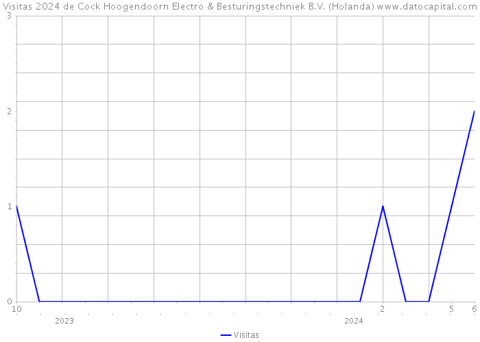 Visitas 2024 de Cock Hoogendoorn Electro & Besturingstechniek B.V. (Holanda) 