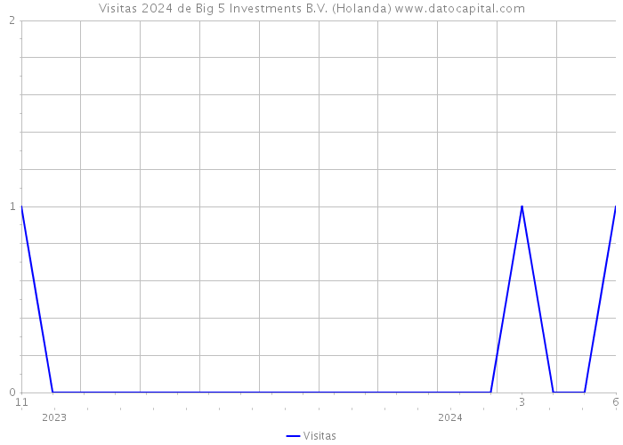 Visitas 2024 de Big 5 Investments B.V. (Holanda) 