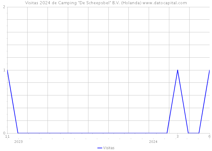 Visitas 2024 de Camping 