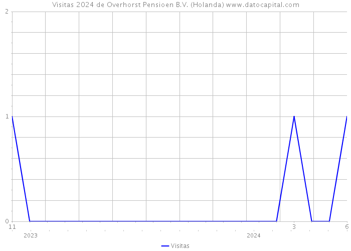 Visitas 2024 de Overhorst Pensioen B.V. (Holanda) 