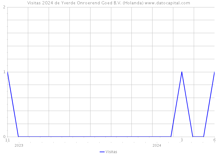 Visitas 2024 de Yverde Onroerend Goed B.V. (Holanda) 