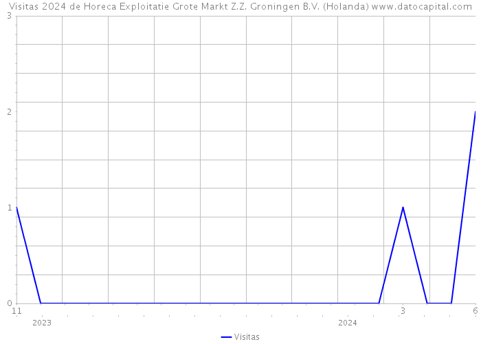 Visitas 2024 de Horeca Exploitatie Grote Markt Z.Z. Groningen B.V. (Holanda) 