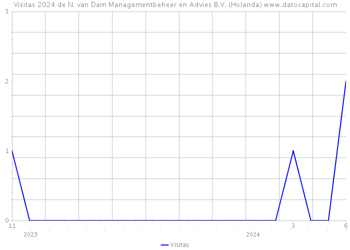 Visitas 2024 de N. van Dam Managementbeheer en Advies B.V. (Holanda) 