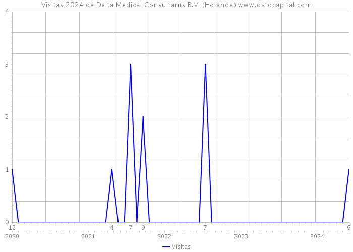 Visitas 2024 de Delta Medical Consultants B.V. (Holanda) 