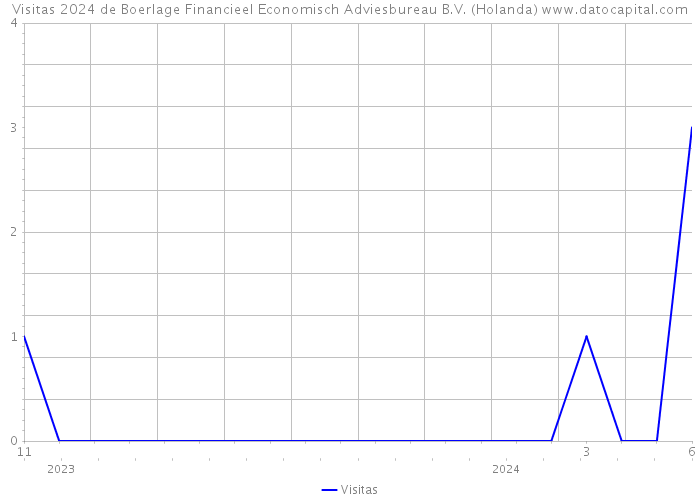 Visitas 2024 de Boerlage Financieel Economisch Adviesbureau B.V. (Holanda) 