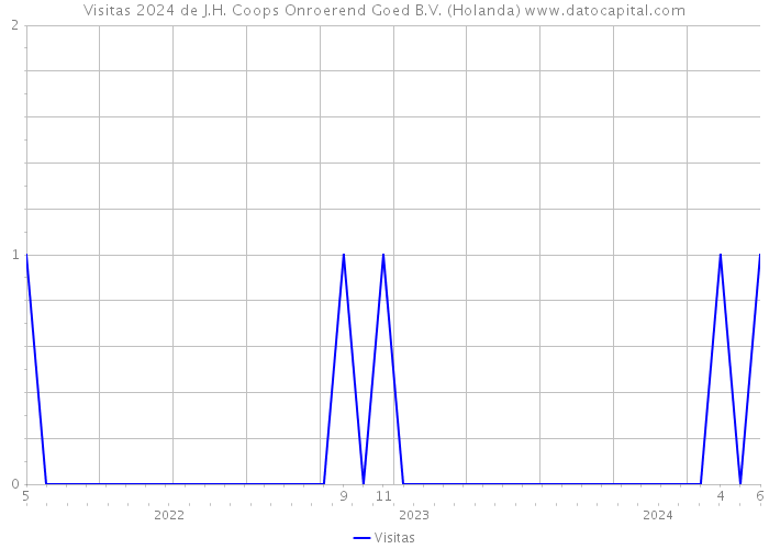 Visitas 2024 de J.H. Coops Onroerend Goed B.V. (Holanda) 