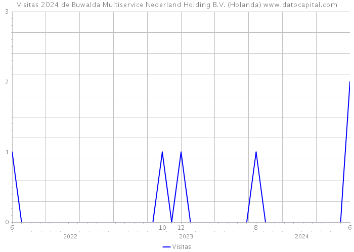 Visitas 2024 de Buwalda Multiservice Nederland Holding B.V. (Holanda) 