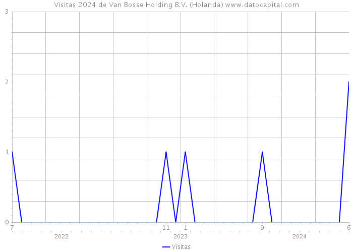 Visitas 2024 de Van Bosse Holding B.V. (Holanda) 
