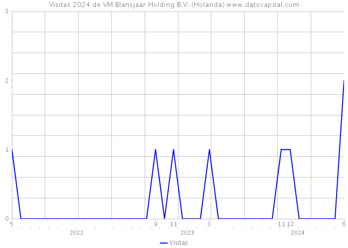 Visitas 2024 de VM Blansjaar Holding B.V. (Holanda) 