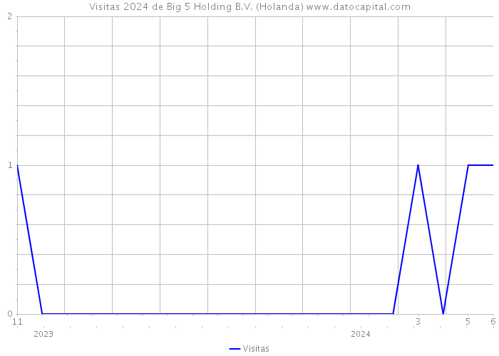 Visitas 2024 de Big 5 Holding B.V. (Holanda) 