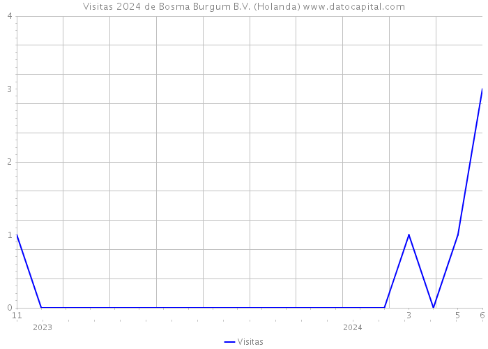 Visitas 2024 de Bosma Burgum B.V. (Holanda) 