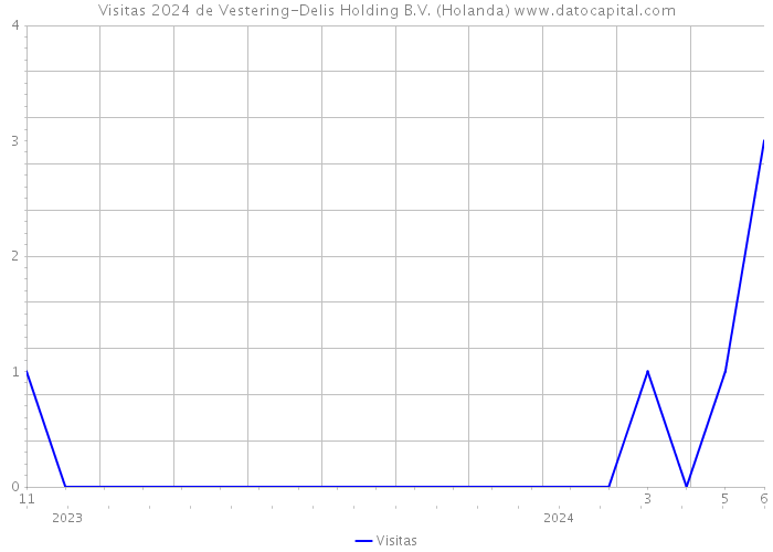 Visitas 2024 de Vestering-Delis Holding B.V. (Holanda) 