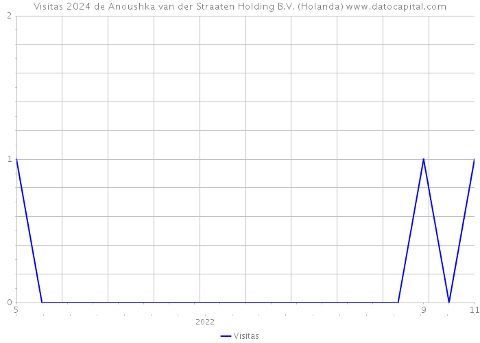 Visitas 2024 de Anoushka van der Straaten Holding B.V. (Holanda) 