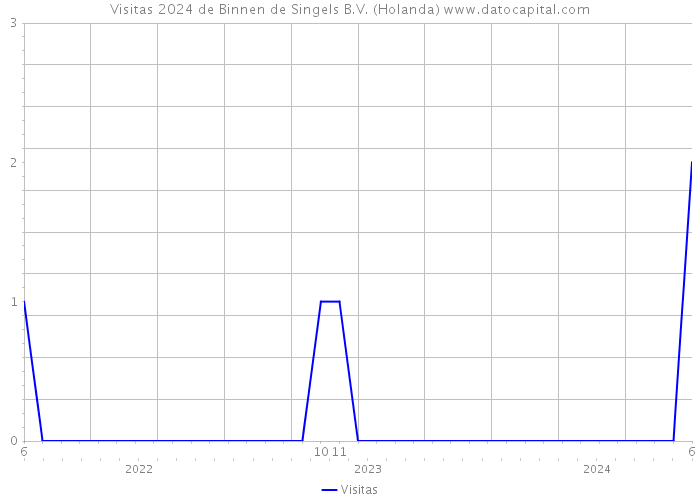 Visitas 2024 de Binnen de Singels B.V. (Holanda) 