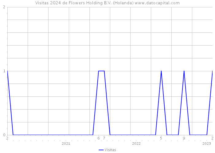 Visitas 2024 de Flowers Holding B.V. (Holanda) 